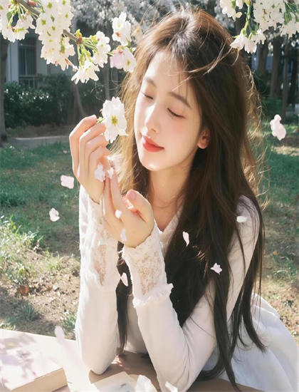 《大坂天气少女》市场表现标杆式的：票房成绩与观众接受度分析